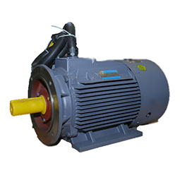 YD、YDT系列變極多速電動(dòng)機(jī)